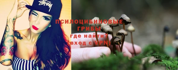 PSILOCYBIN Приозерск