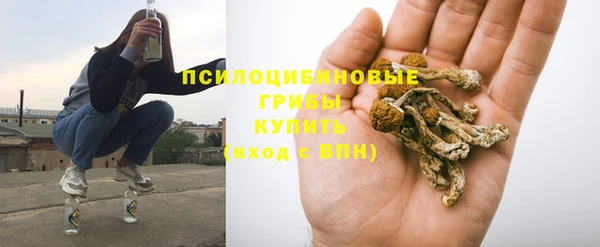 не бодяженный Протвино